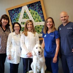 ABC Dentistry & Orthodontics - Meet our wonderful Dentists. Pediatric Dentist General Dentist Orthodontist Therapy Dog Delilah Schaumburg, IL