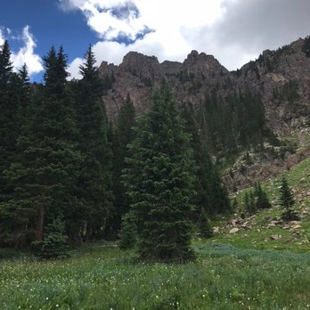booth lake trail - A mountain scene featuring tall pine trees in a grassy meadow with wildflowers, rocky mountain peaks, and a partly cloudy sky. - Hiking Near Me - Vail, Colorado