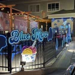 Blue Moo - Drive thru lights