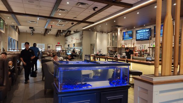 Red Lobster by null