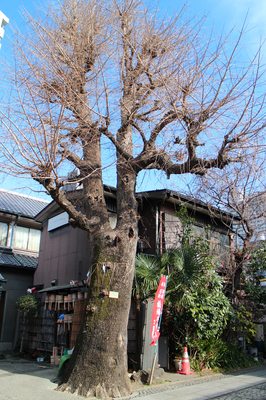 Hashiba Fudoson by null