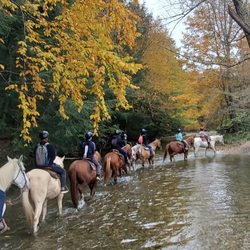 Cinch ‘em Up Stables Horseback Riding