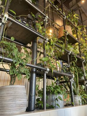 Spirit Elephant by null Spirit Elephant by null