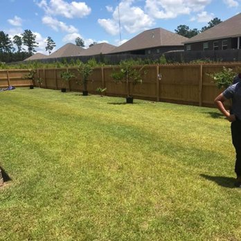 Yard Tamers Mobile - Tree Services Near Me - Mobile, Alabama Yard Tamers Mobile - Tree Services Near Me - Mobile, Alabama