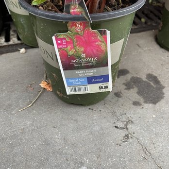 Lowe's Home Improvement - Home Decor Near Me - Burbank, California