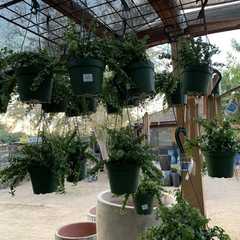 Berridge Nurseries - Nurseries & Gardening Near Me - Phoenix, Arizona