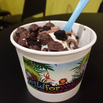 Wild's Eats and Sweets - Wild yogurt in action - Ice Cream & Frozen Yogurt Near Me - Auburn, New York Wild's Eats and Sweets - Wild yogurt in action - Ice Cream & Frozen Yogurt Near Me - Auburn, New York