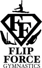 Flip Force Gymnastics - childcare center in Kernersville, NC