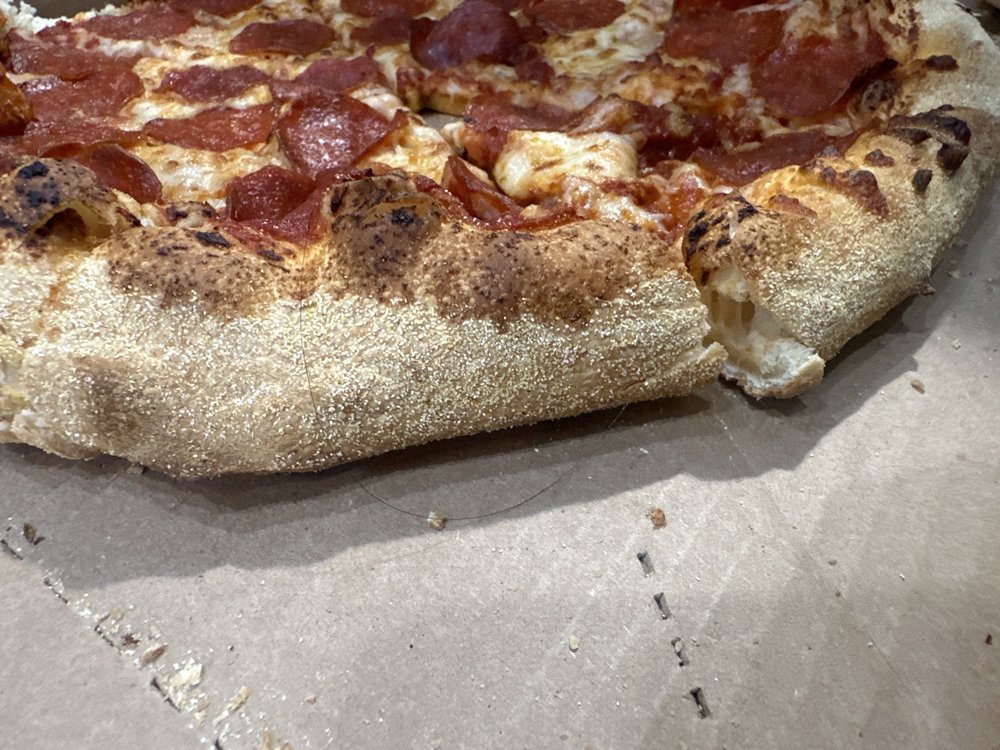 Domino's Pizza Logo