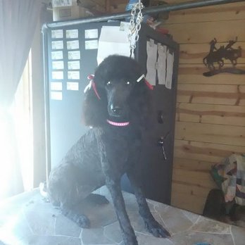 Mutt Hut Pet Grooming - Pet Groomers Near Me - Duncan, Oklahoma Mutt Hut Pet Grooming - Pet Groomers Near Me - Duncan, Oklahoma