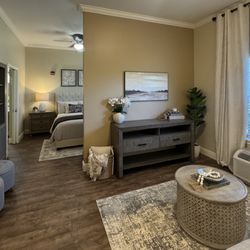 Parmer Woods at North Austin - Parmer Woods at North Austin | One-bedroom senior apartment living room