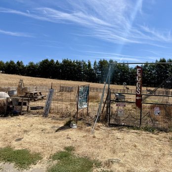 Farm Barn - Farm Barn - Attraction Farms Near Me - Petaluma, California Farm Barn - Farm Barn - Attraction Farms Near Me - Petaluma, California