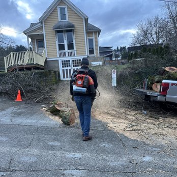 Tony's Tree Service - Ground man cleaning up after a pear tree removal. - Tree Services Near Me - Vancouver, Washington Tony's Tree Service - Ground man cleaning up after a pear tree removal. - Tree Services Near Me - Vancouver, Washington