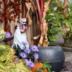 Causey Mansion Bed & Breakfast