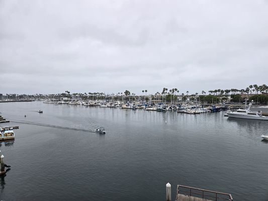 Marine Stadium by null