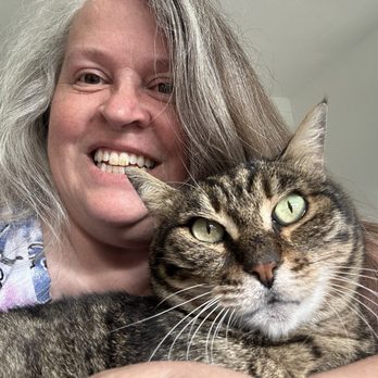 DPC Veterinary Hospital - My 12yo Mackerel Tabby - Veterinarians Near Me - Davie, Florida DPC Veterinary Hospital - My 12yo Mackerel Tabby - Veterinarians Near Me - Davie, Florida