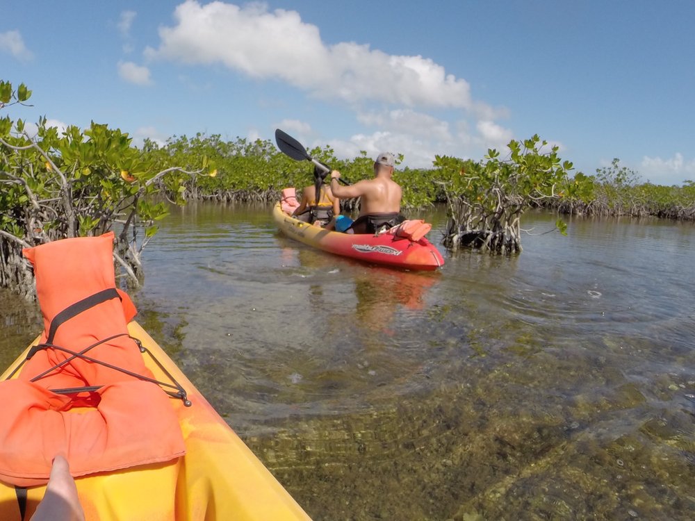 KEY WEST ECO TOURS 135 Photos & 145 Reviews 5 Geiger Rd, Key West, FL Yelp