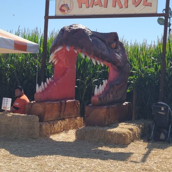 Spina Farms Pumpkin Patch - Pumpkin Patches Near Me - Morgan Hill, California