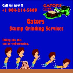 Gators Stump Grinding - Stump Grinding Orange Park, Fl