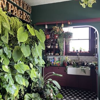 Planted in Pages - Bookstores Near Me - Provo, Utah