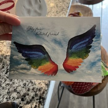 Lap of Love - Received this letter of condolences from Lap of Love, even though we never ended using their services. - Veterinarians Near Me Lap of Love - Received this letter of condolences from Lap of Love, even though we never ended using their services. - Veterinarians Near Me