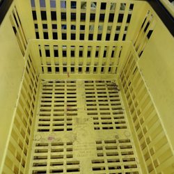 Dollar General - Filthy baskets