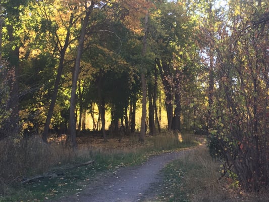 Greenough Park by null