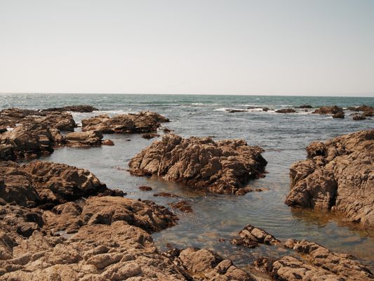 Asilomar State Beach by null