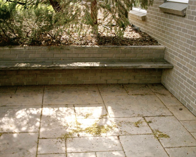 Slide of Apex Plumbing