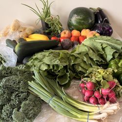 Kurtzhals' Farms