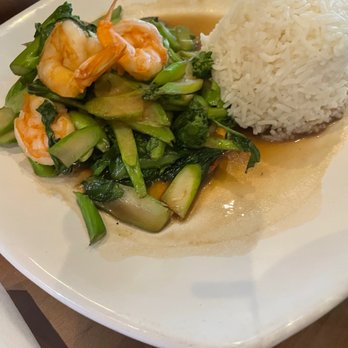 Cilantro Asian Bistro - Asian Fusion Near Me - Hallandale Beach, Florida Cilantro Asian Bistro - Asian Fusion Near Me - Hallandale Beach, Florida