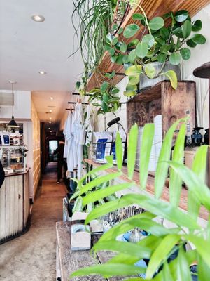 The Harbinger Cafe & Bakery by null