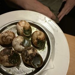 6 Burgundy snails from the Maison de l'Escargot