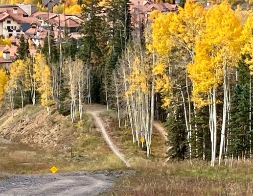 Telluride Ski Resort by null