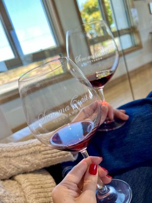 Sonoma Coast Vineyards by null