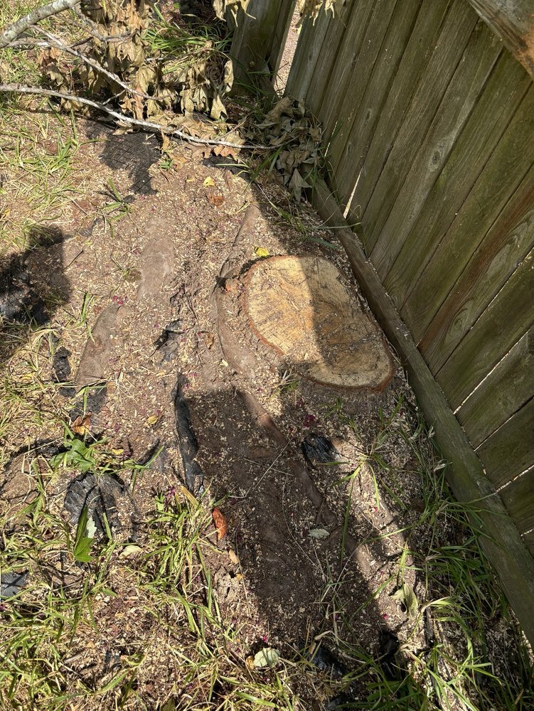 K's Tree Care - tree service in Norfolk, VA