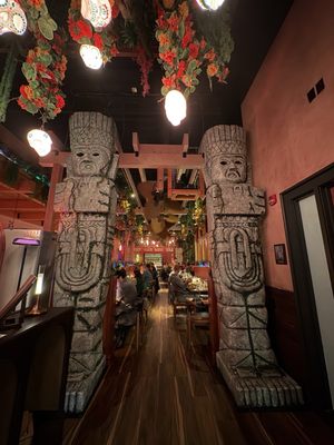 Gato Exotico by null