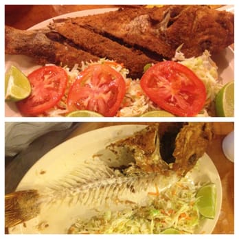 Yambo Restaurant - Eat like a kitten! Before and after... - Latin American Near Me - Miami, Florida