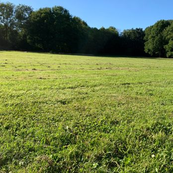 Amsterdam bos - Active Life Near Me - Amstelveen, New Hampshire