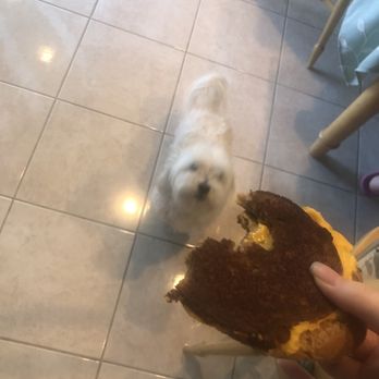 Baker's Drive-Thru - my dog ft. "grilled cheese" - Mexican Near Me - Riverside, California