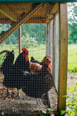 Plan Bee Farm Brewery by null