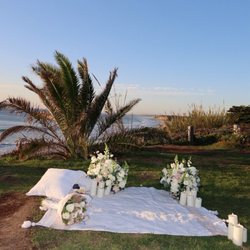 Del Mar Flower Company