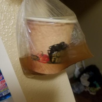 Artea - Udon ruined - Bubble Tea Near Me - San Antonio, Texas Artea - Udon ruined - Bubble Tea Near Me - San Antonio, Texas