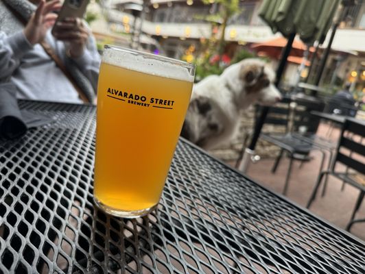 Alvarado Street Brewery & Bistro by null