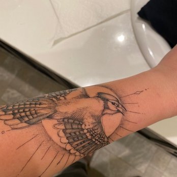 SIX8 Collective - Healed blue jay memorial - Tattoo Near Me - Tustin, California