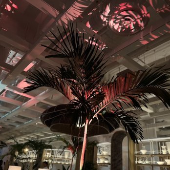 Amal - Decor - Lebanese Near Me - Miami, Florida