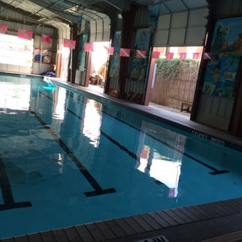 Gigglin' Marlin Dive & Swim - Giggling Marlin pool - Swimming Lessons/Schools Near Me - Houston, Texas Gigglin' Marlin Dive & Swim - Giggling Marlin pool - Swimming Lessons/Schools Near Me - Houston, Texas