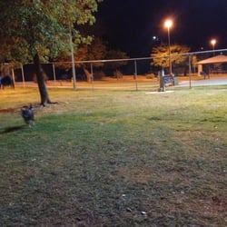 Creamery Park - Playing with the dog.