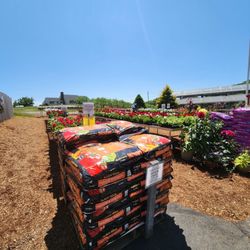 Scott's Orchard & Nursery