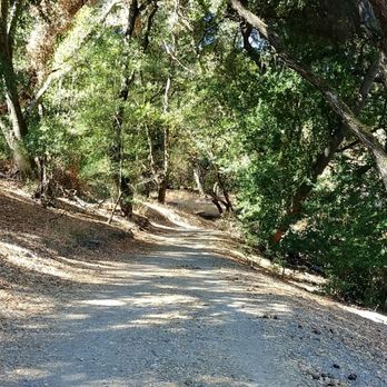 Las Trampas Regional Wilderness - Parks Near Me - San Ramon, California Las Trampas Regional Wilderness - Parks Near Me - San Ramon, California